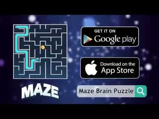 Maze Brain Puzzle