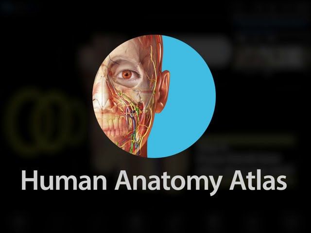 visible body 3d human anatomy atlas v5.0.43 [android