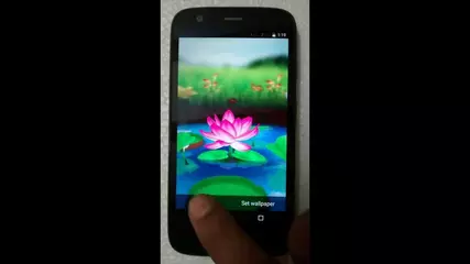 lotus 3d live wallpaper