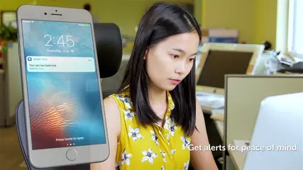 Feed and Monitor Your Pet’s Meals Anytime, Anywhere