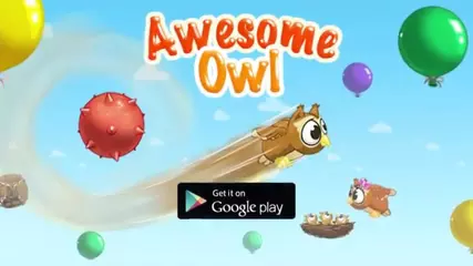 Awesome Owl Google Play