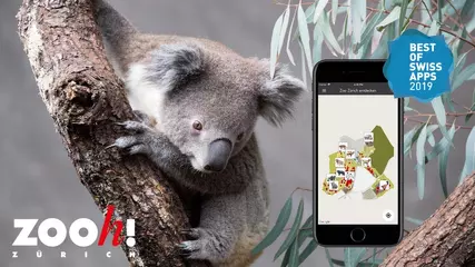 Zoo-App