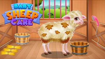 Baby Sheep Care