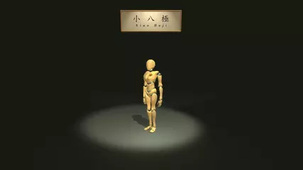 Baji Quan Trainer App