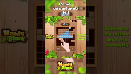 116 woodyblockgai 916 w