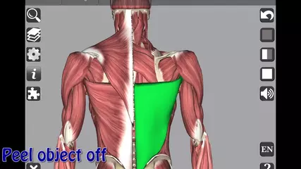 3D Anatomy app