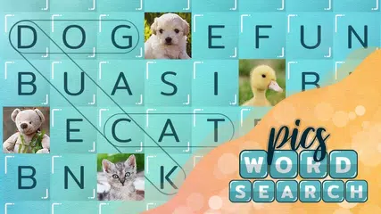 WP_9x16_18s_EN_5cats_findwords