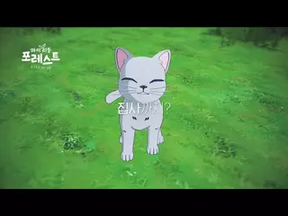 슬기로운 숲속 생활 [마이리틀포레스트] 공식 PV