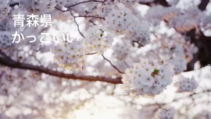 天気予報-天気と天気レーダー