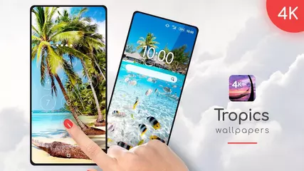 Tropical wallpapers