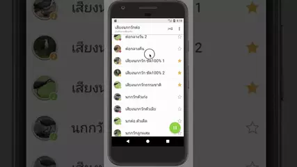 เสียงนกกวักต่อ