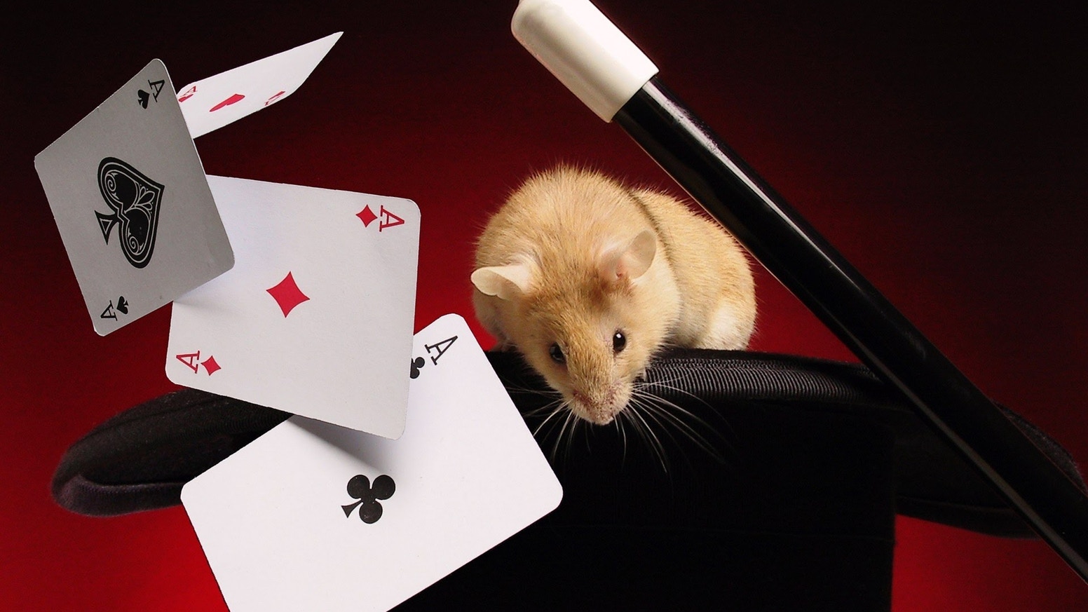 Top 10 Apps to Learn Magic Tricks