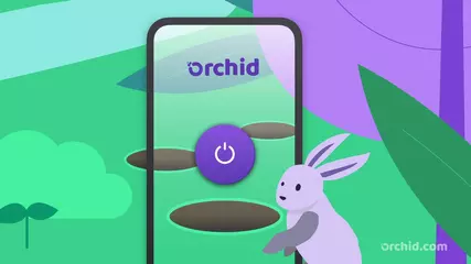 Orchid Overview