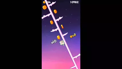 Macaron game Donut Cat