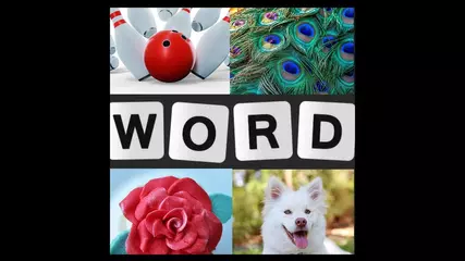 Word Picture - Brain Game