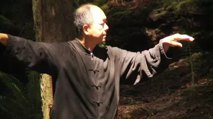 Yang Tai Chi for Beginners - Dr. Yang, Jwing-Ming (YMAA Taijiquan)