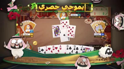 sa 210129 TT 详情页视频配音版