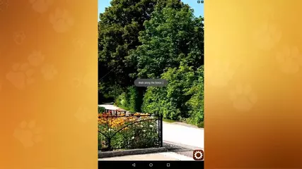 Find A Cat 2! Check it free!