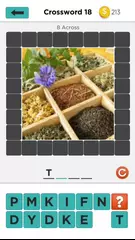 Pic Crossword - A new Way to solve crosswords