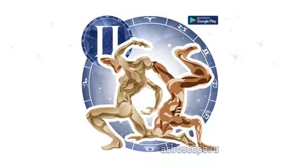 Близнецы (приложение на Android)