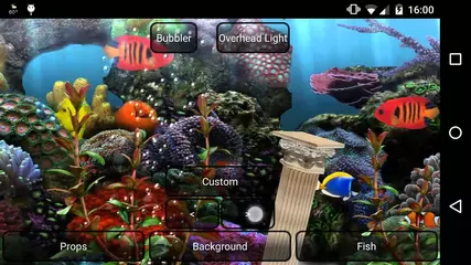 Aquarium Free Live Wallpaper APK  for Android – Download Aquarium Free  Live Wallpaper APK Latest Version from 