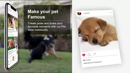 Dog Book: Breed Identifier, Dog Scanner, Photo App