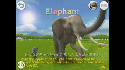 PROPE "REAL ANIMALS HD" for Android