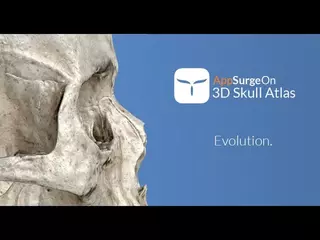 AppSurgeOn - 3D Skull Atlas