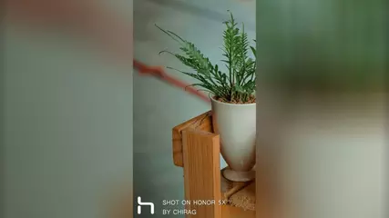 How to Add "Shot On" tag on any Honor Device Gallery Photos for Free!