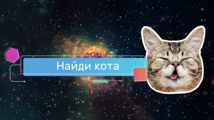 Найди кота