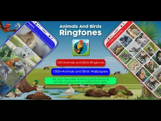 Animals ring tones | Birds rings tones