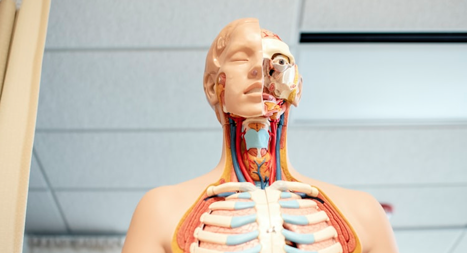 Top 10 Medical Dictionary Apps for Android