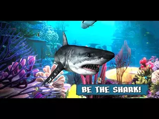 King of the Fish Tank