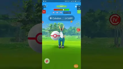 PokeCatch Helper Demo