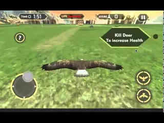 Wild Eagle Hunter Simulator 3D