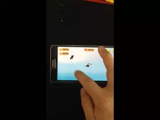 Bird Rescue - rescue a little bird