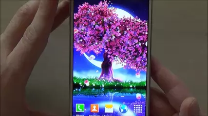 Free cherry blossom live wallpaper for Android phones and tablets