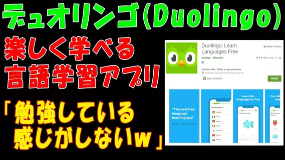 Must Have Apps To Learn A Language Apkfab Com