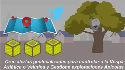Vespa Velutina - Video Corporativo