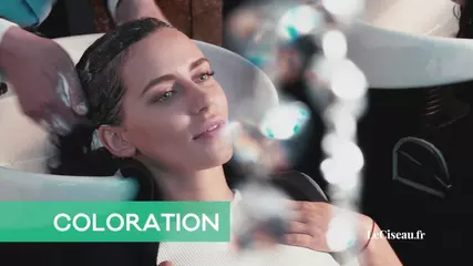 LeCiseau.fr : spot TV 2019