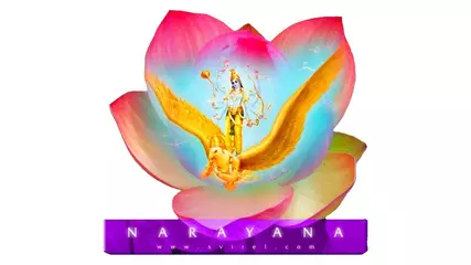 Shuddha Ekadashi (Android App)