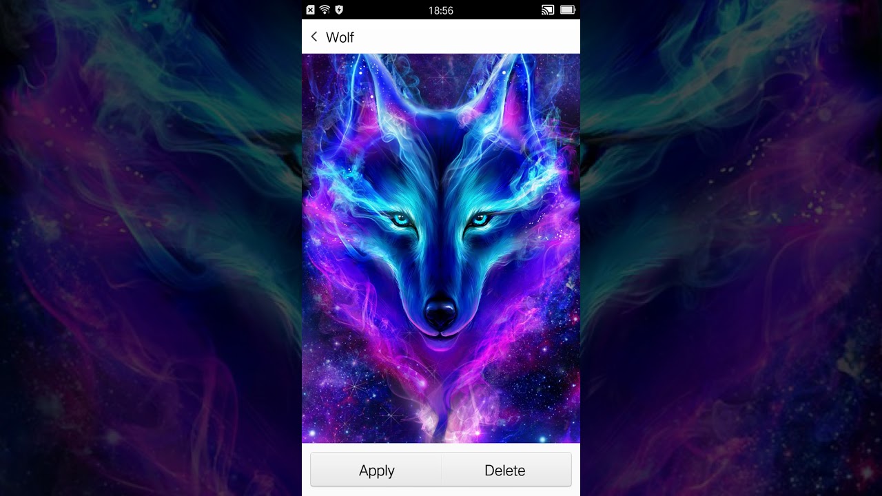 Free Wolf Android Live Wallpapers  Mobiles24