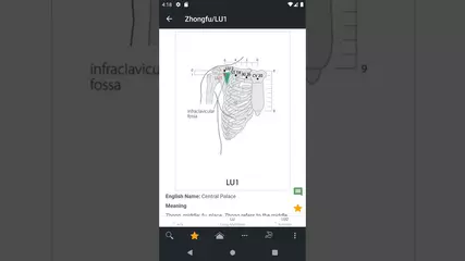 Demo of Acupuncture Index