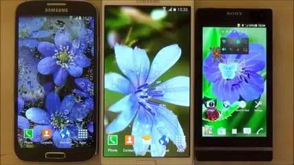 Free butterflies live wallpaper for Android phones and tablets