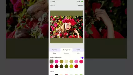 White Border - no crop photo